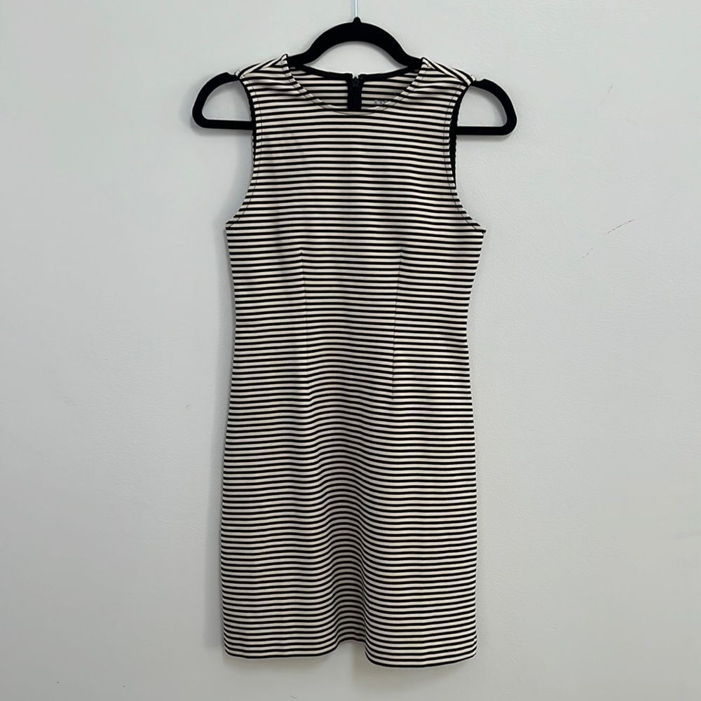 Everlane womens striped shift dress